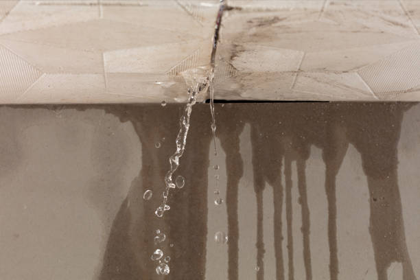 Professional Sewage Cleanup technician working in Vermillion, MN